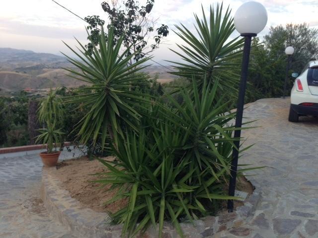 B&B Profumi Di Sicilia San Cataldo  Extérieur photo